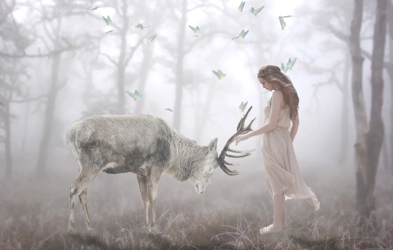 Фото обои лес, девушка, бабочки, природа, поза, туман, обработка, олень