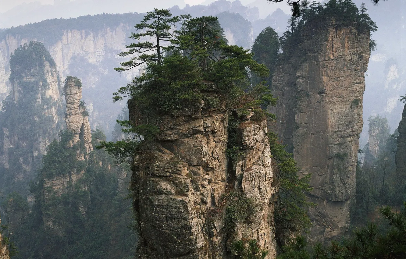 Фото обои forest, nature, mountains, rocks