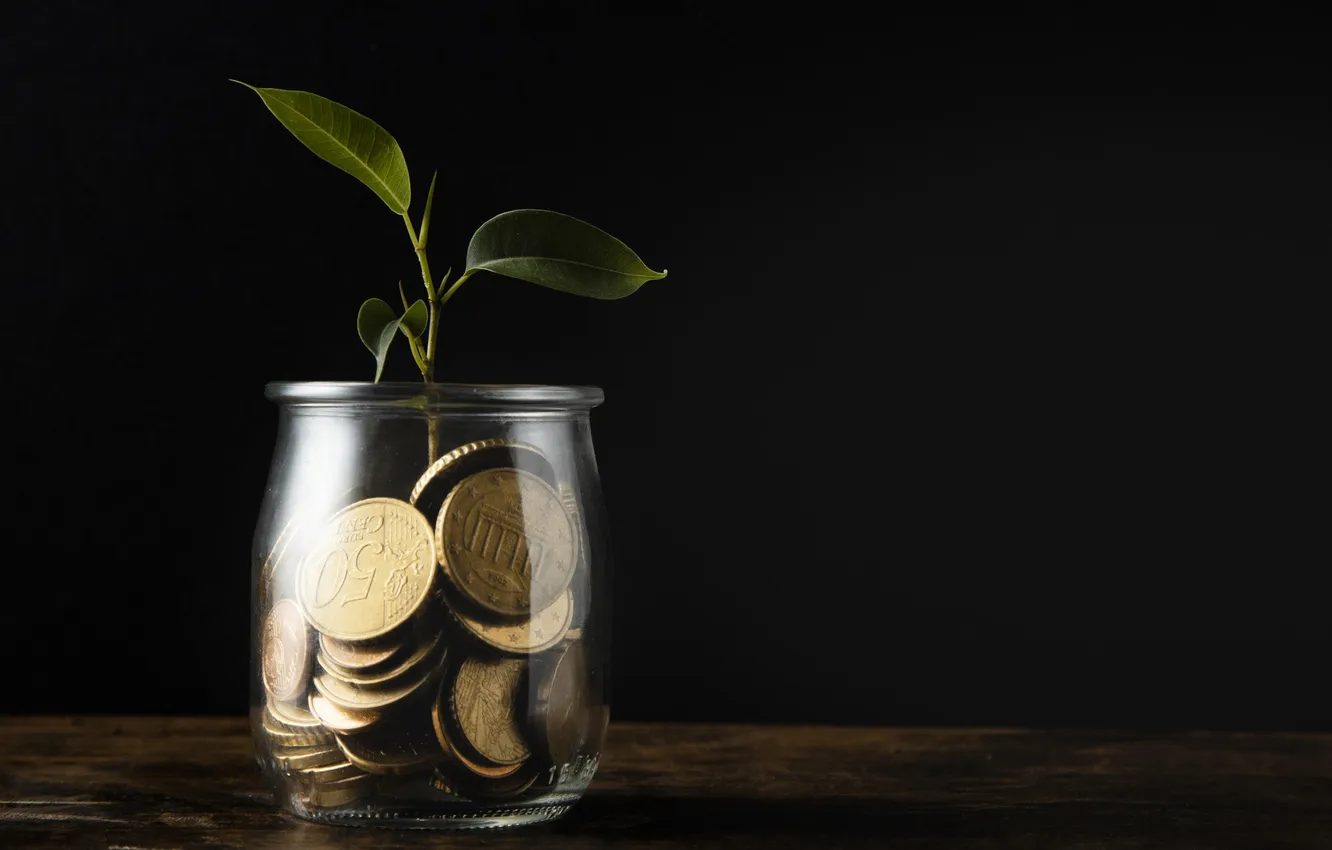 Фото обои space, plant, coins, jar, copy, growing