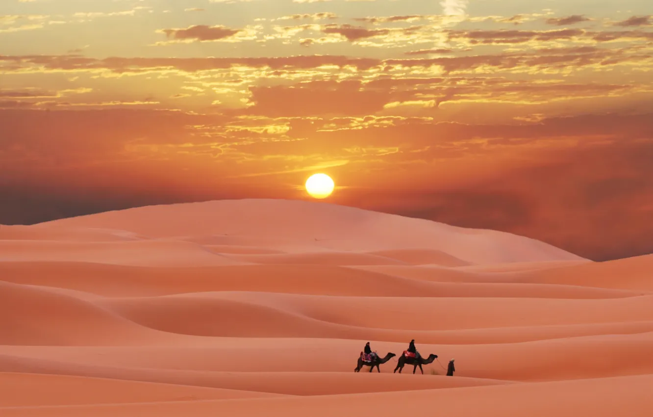 Фото обои пустыня, desert, пески, караван, Сахара, Марокко, caravan in Sahara, берберы