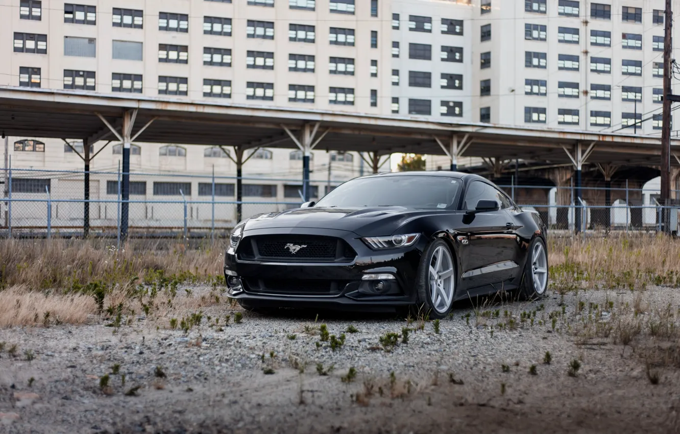 Фото обои Mustang, Ford, Black, 5.0, 2015
