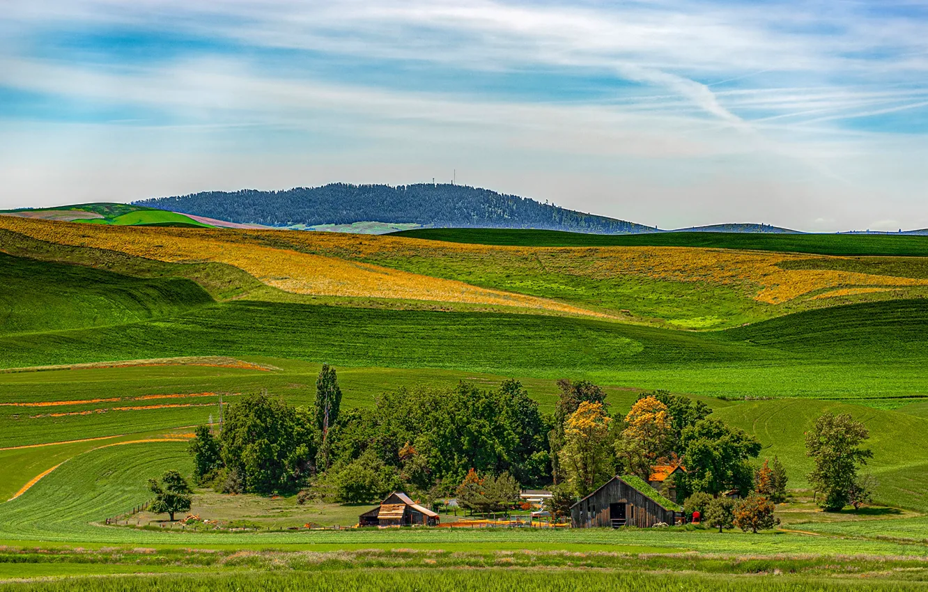 Фото обои небо, солнце, деревья, поля, домики, Вашингтон, США, Palouse Wheat Fields