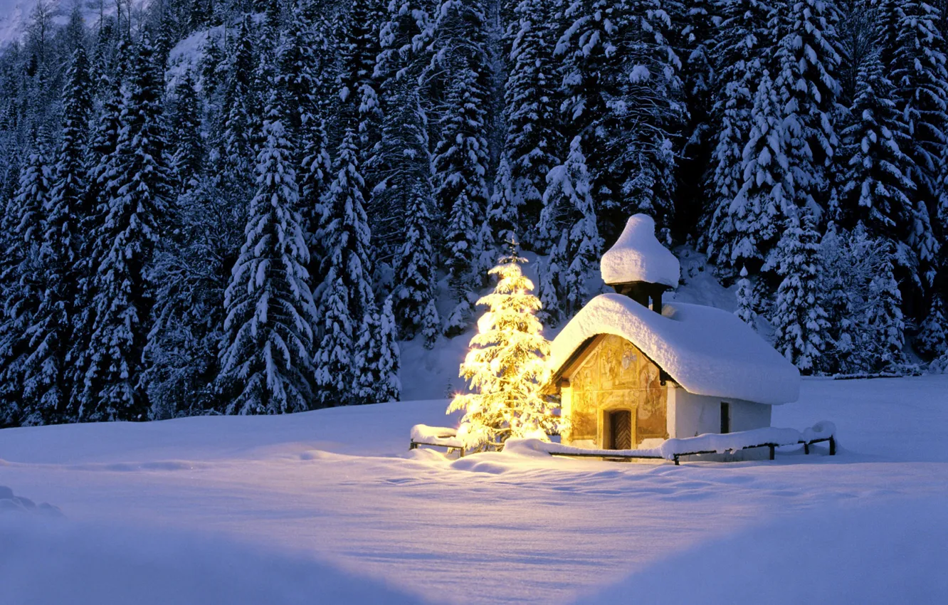 Фото обои зима, лес, свет, снег, огоньки, ели, Рождество, церковь