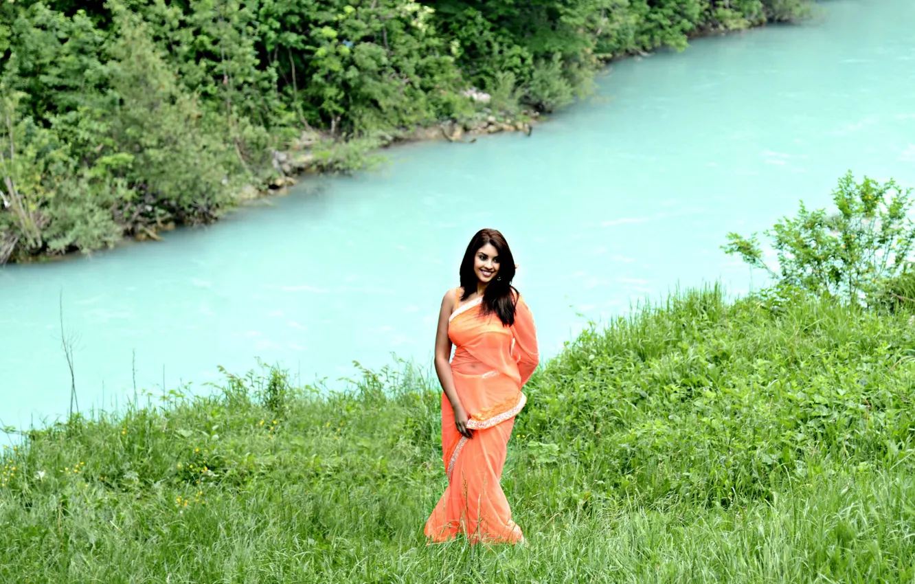 Фото обои hot, sexy, India, telugu, saree, gingerid, richa