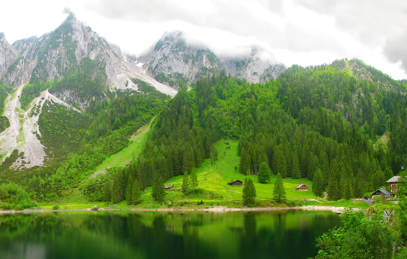 Фото обои лес, горы, озеро, Австрия, lake Gosausee