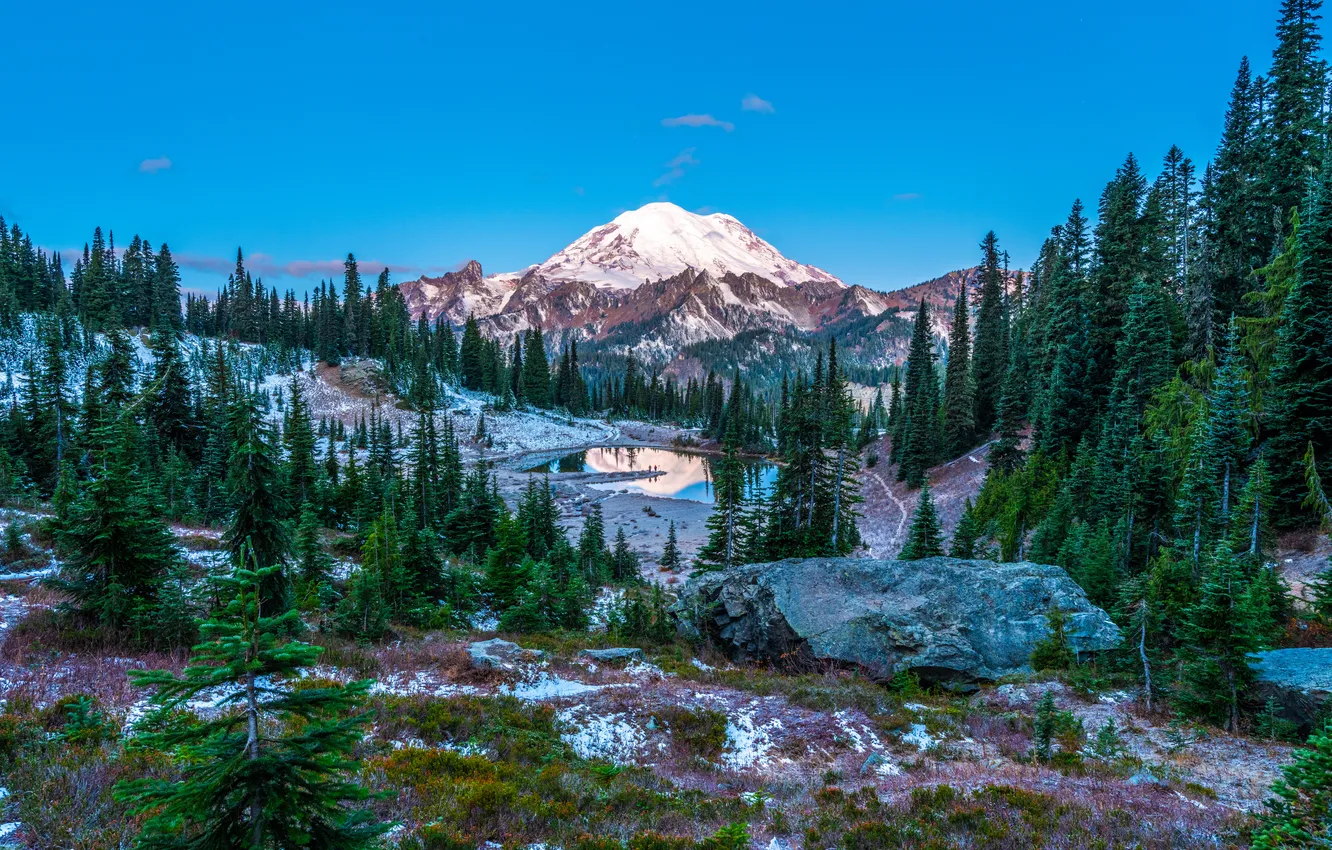 Фото обои горы, ели, США, Mount Rainier