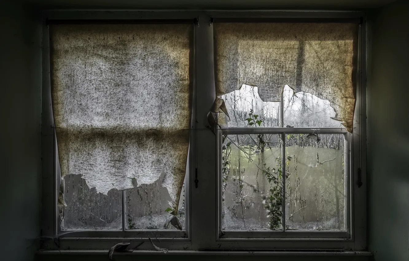 Фото обои дом, окно, занавески, натурализм