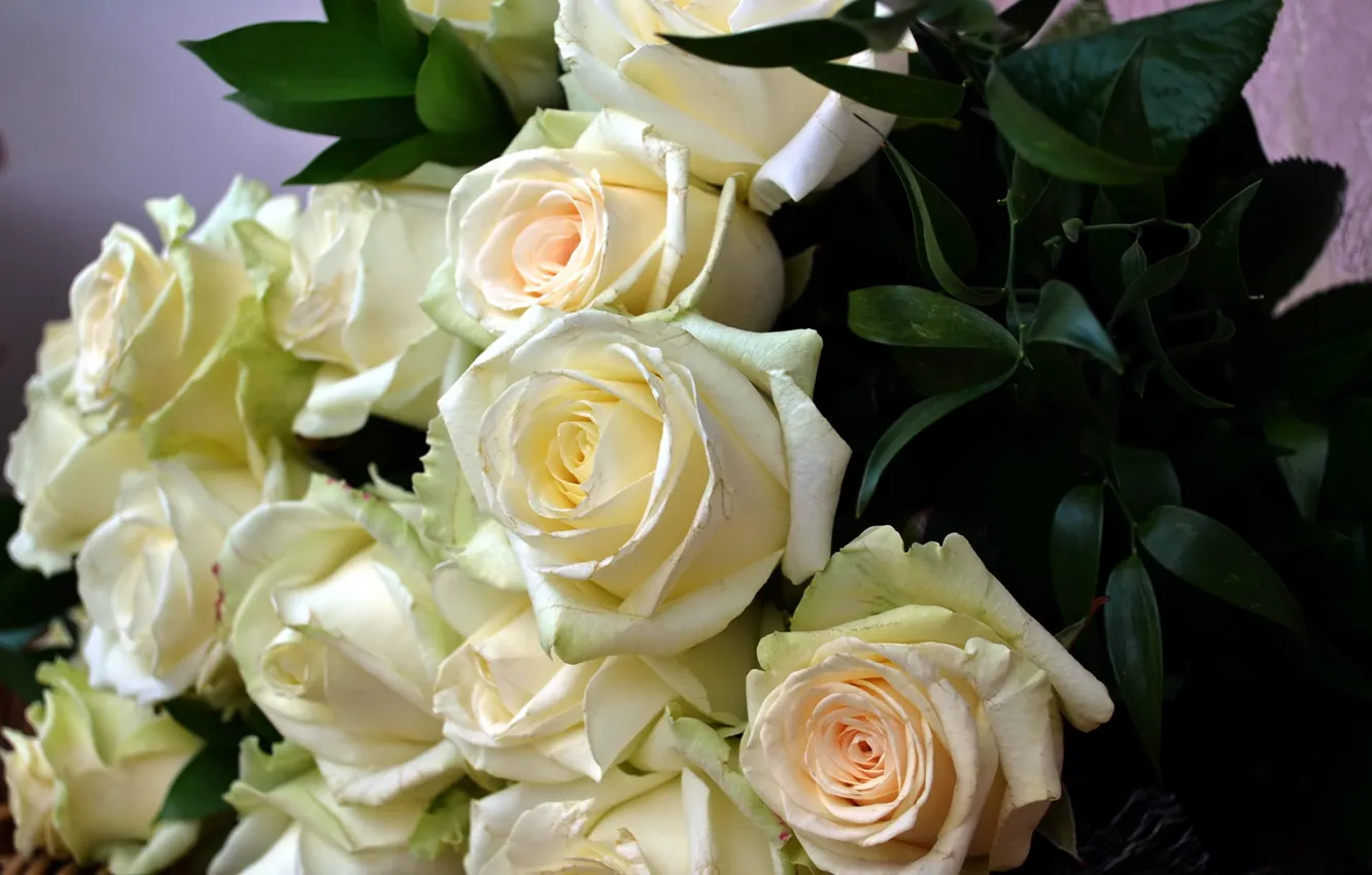 Фото обои розы, букет, белые розы