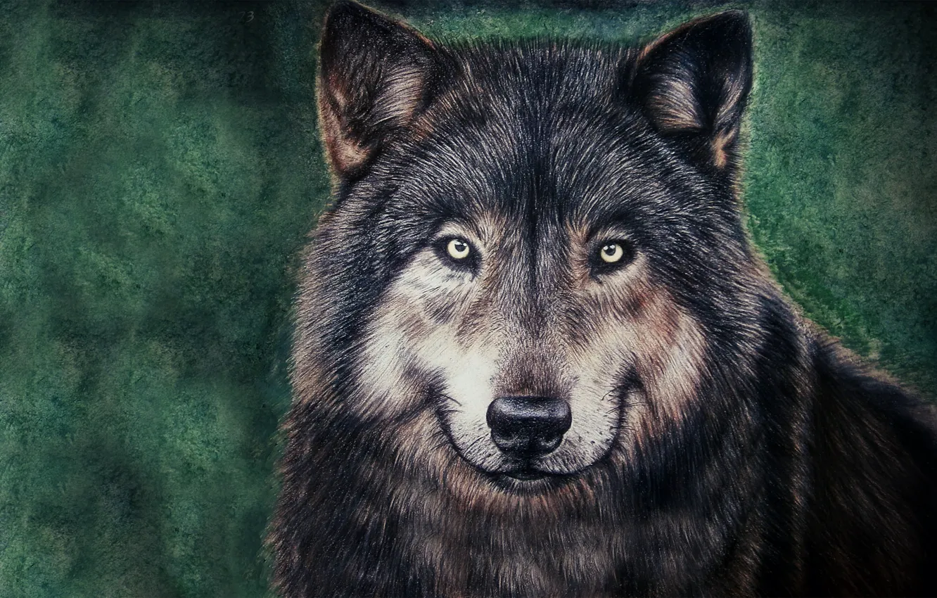 Фото обои морда, волк, живопись, wolf