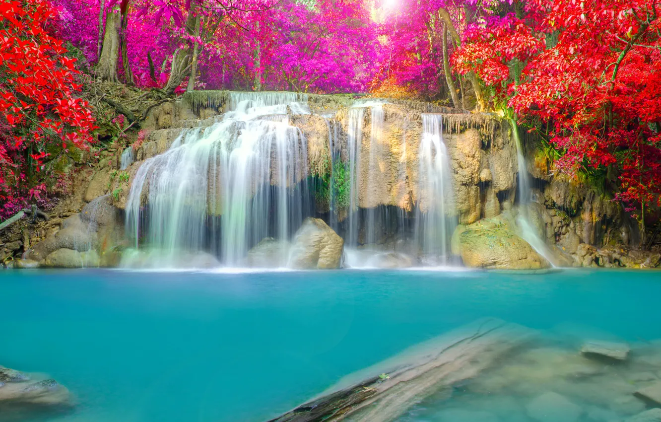 Фото обои осень, пейзаж, водопад, nature, water, autumn, waterfall
