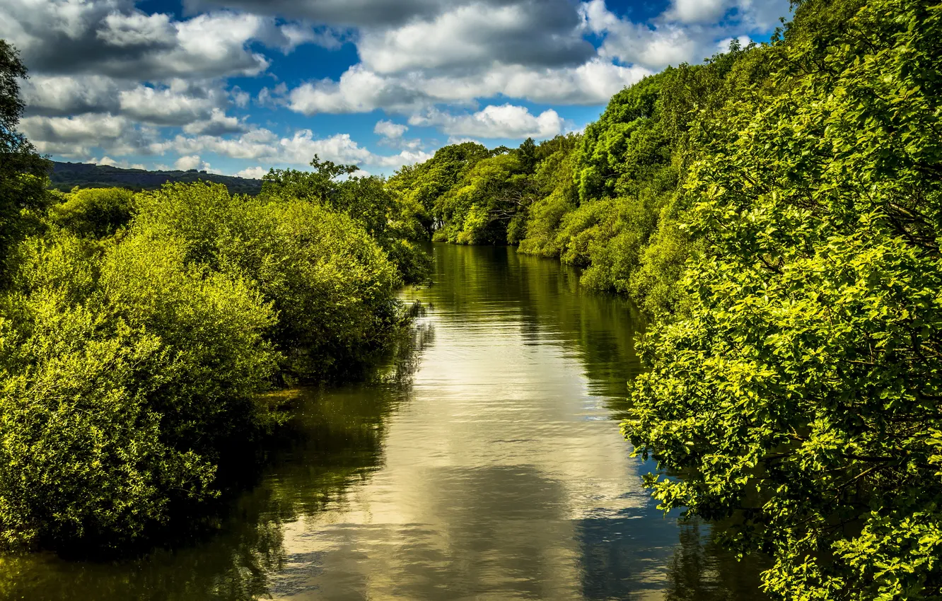 Фото обои озеро, парк, Великобритания, Llanberis Lake, National Slate Museum