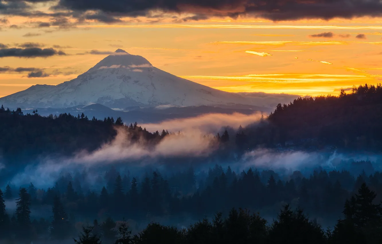 Фото обои лес, закат, горы, туман, вечер
