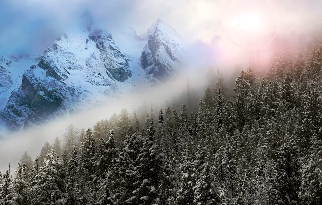 Фото обои зима, небо, горы, туман, блики, фотошоп