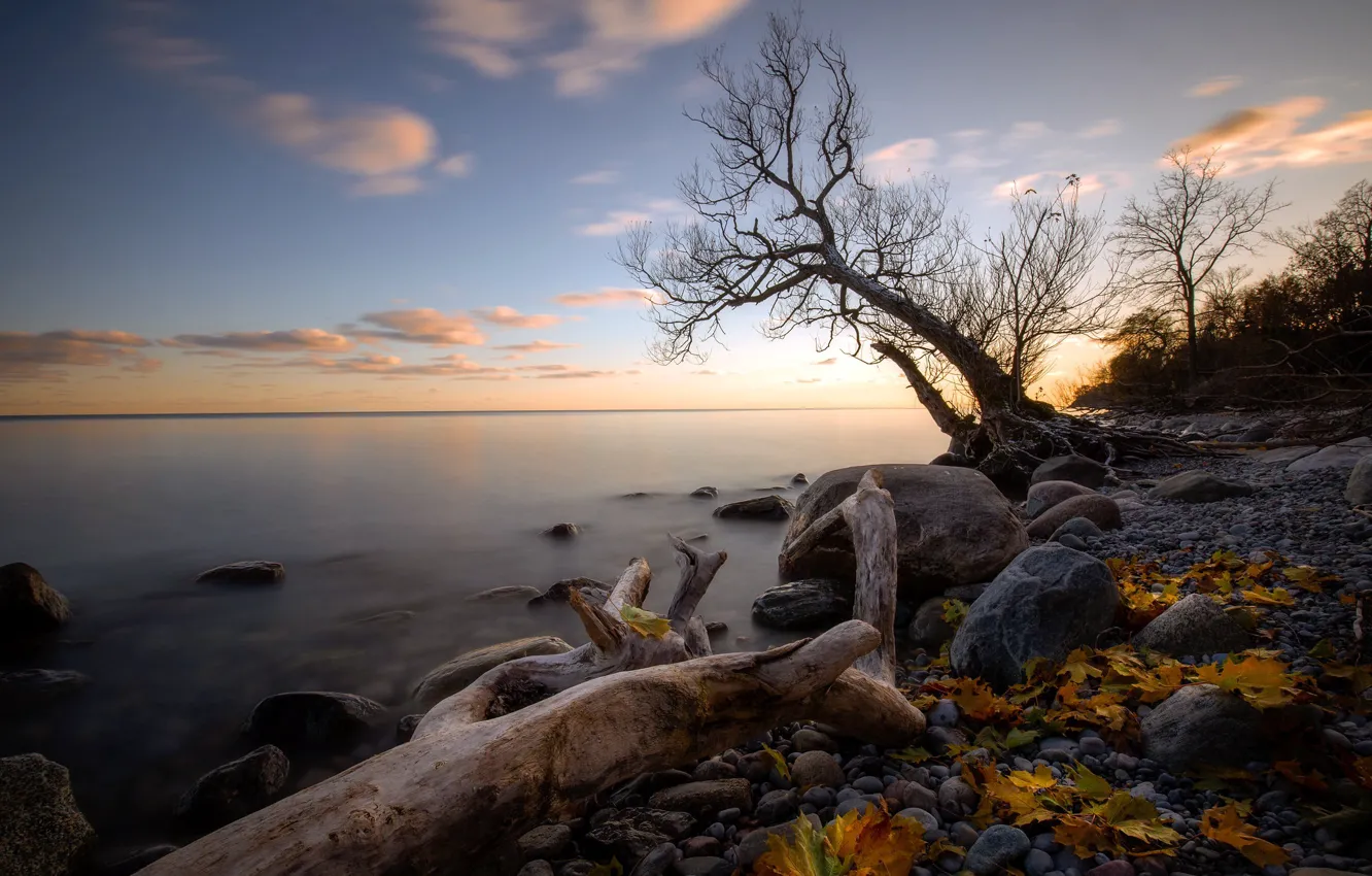 Фото обои море, берег, утро