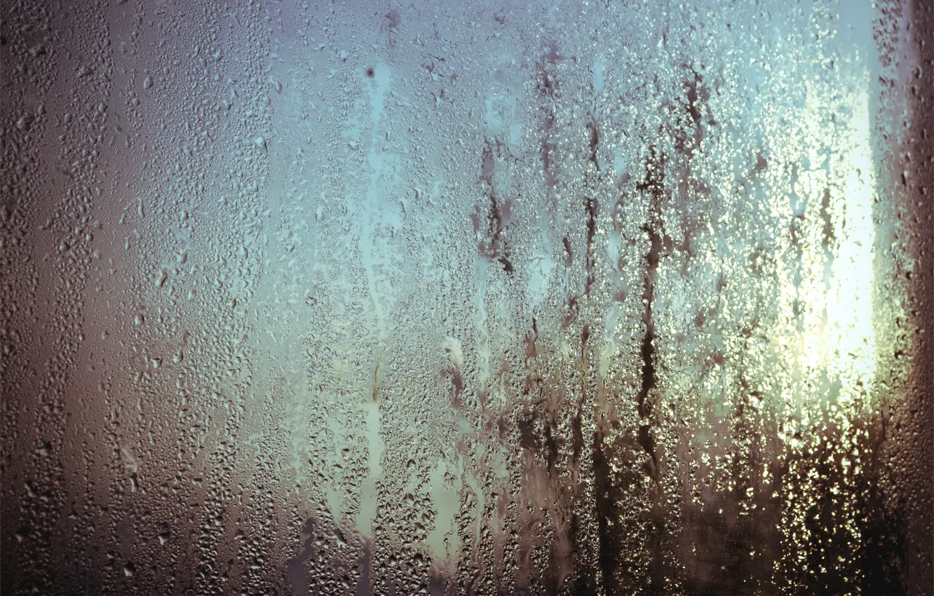 Фото обои вода, капли, весна, окно
