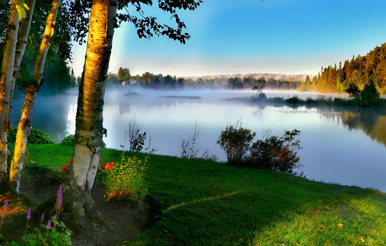 Фото обои лето, деревья, пейзаж, природа, туман, озеро, утро, Канада