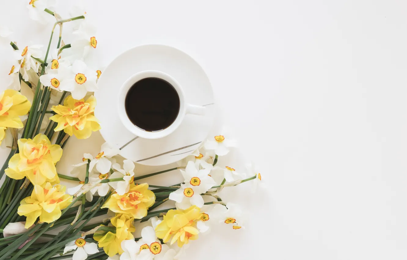 Фото обои цветы, кофе, напиток, нарциссы