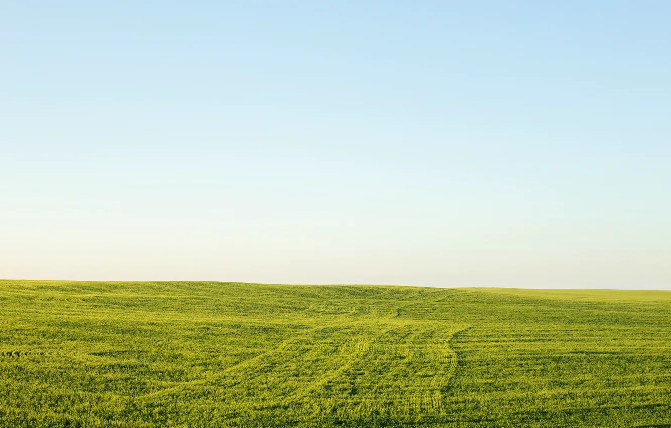 Фото обои поле, небо, трава, горизонт, зеленая
