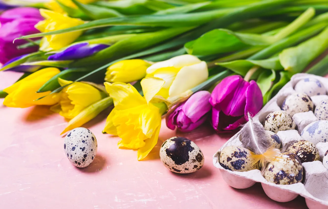 Фото обои цветы, яйца, colorful, Пасха, тюльпаны, happy, flowers, tulips