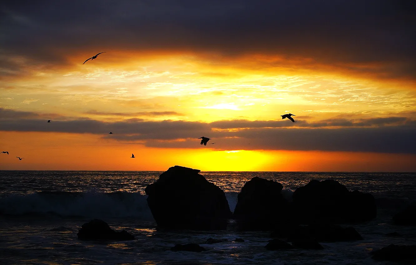 Фото обои море, волны, пляж, облака, камень, восход солнца, пеликанов, небо желтый