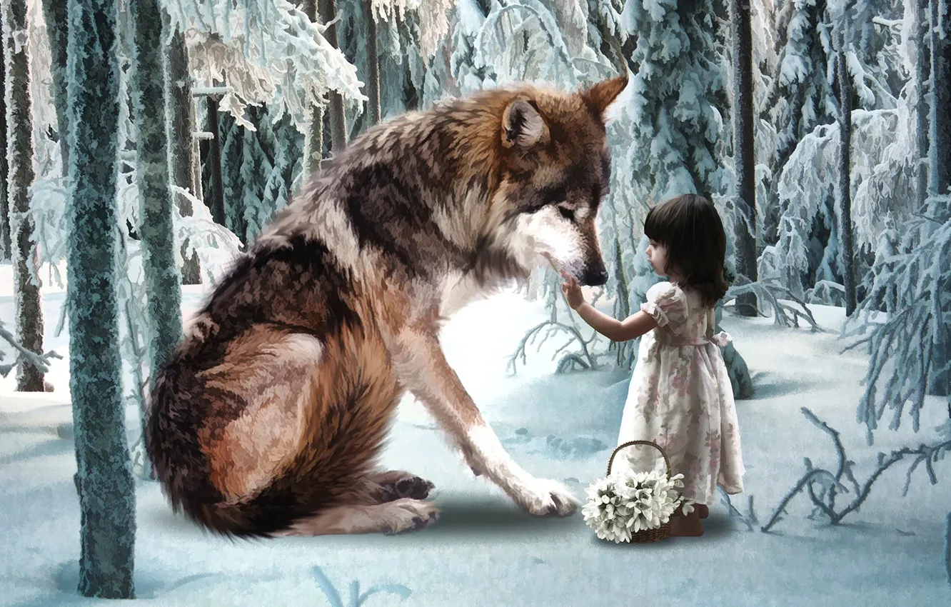 Фото обои зима, лес, волк, девочка