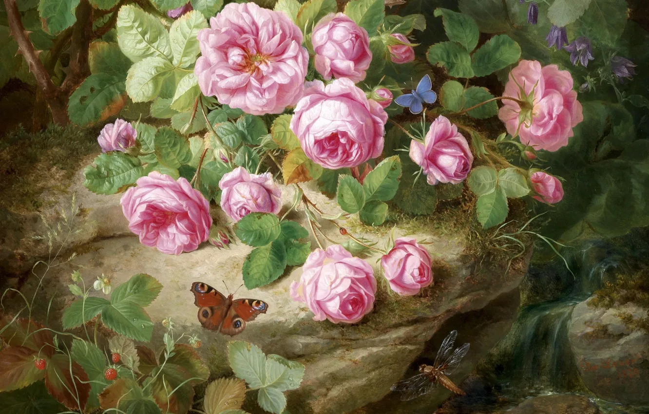 Фото обои бабочка, стрекоза, розовые розы