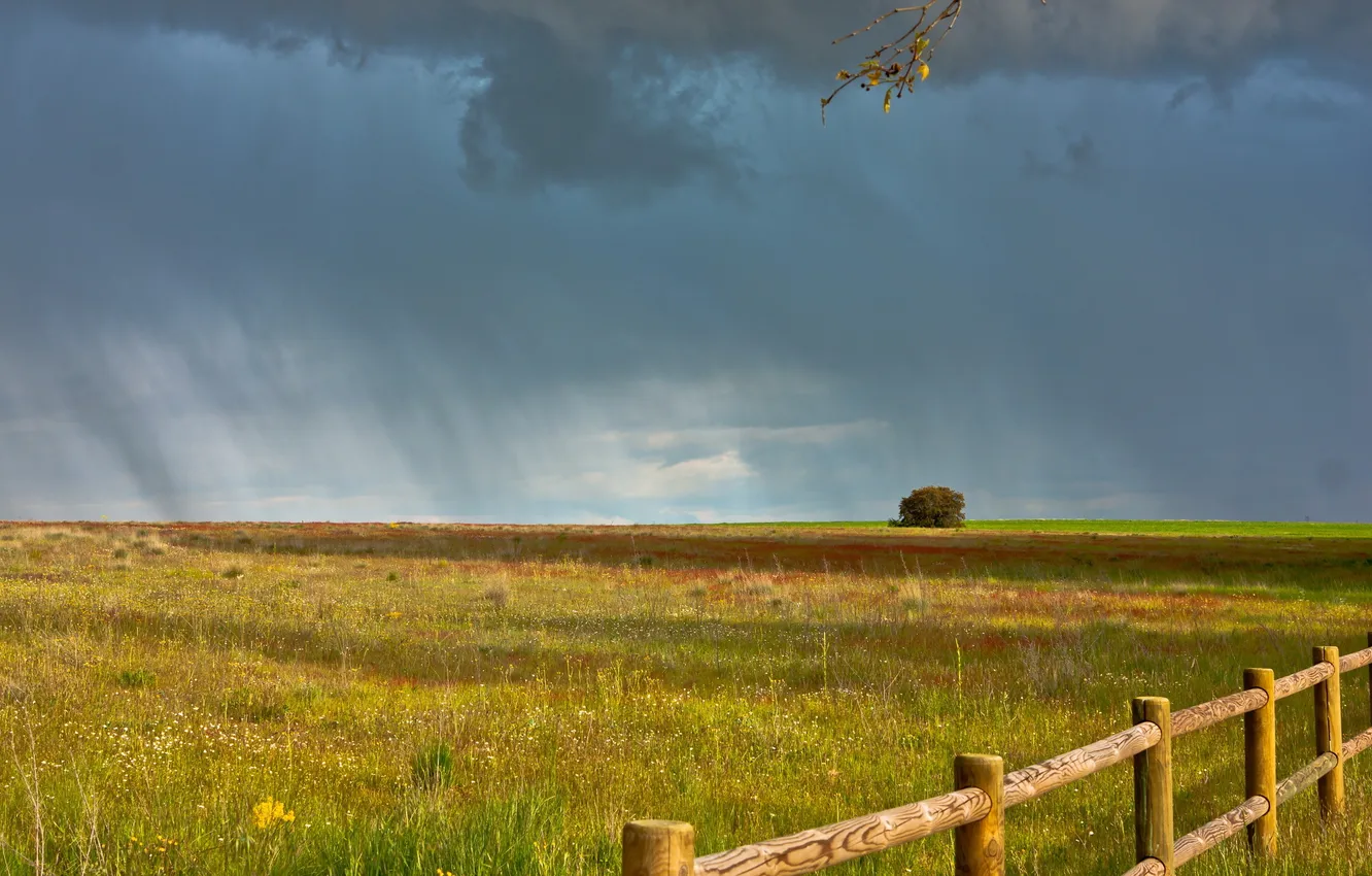 Фото обои поле, пейзаж, дождь, забор
