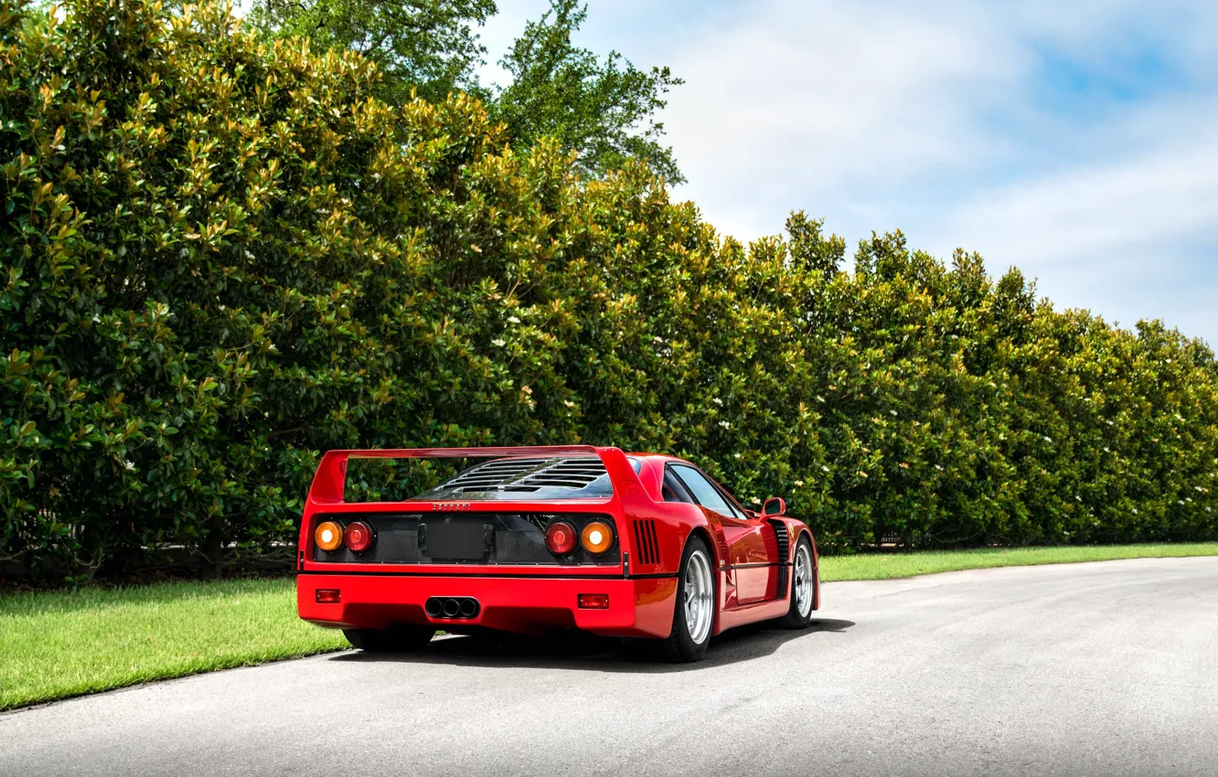 Фото обои Red, F40, Rear view