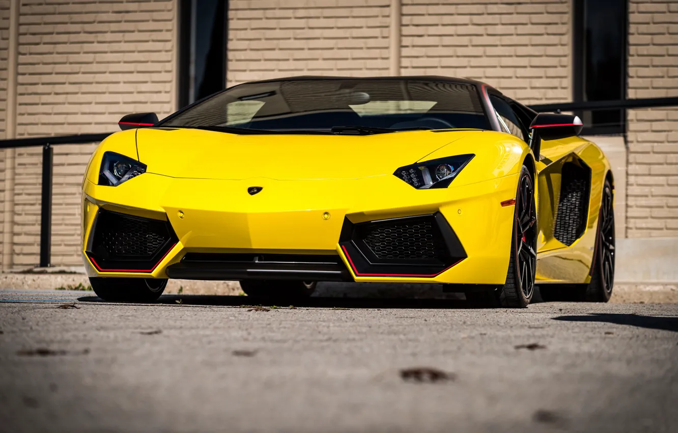 Фото обои Lamborghini, Pirelli, Edition, Avendator