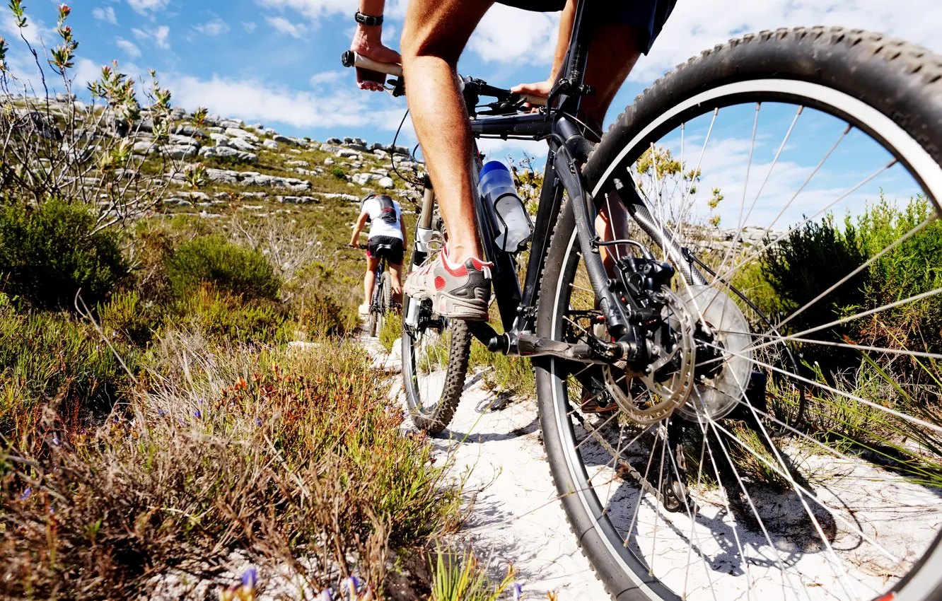 Фото обои nature, slippers, mountain biking