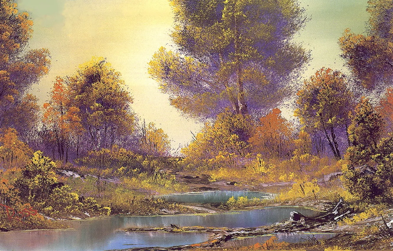 Фото обои осень, лес, вода, деревья, пейзаж, ветки, река, ручей
