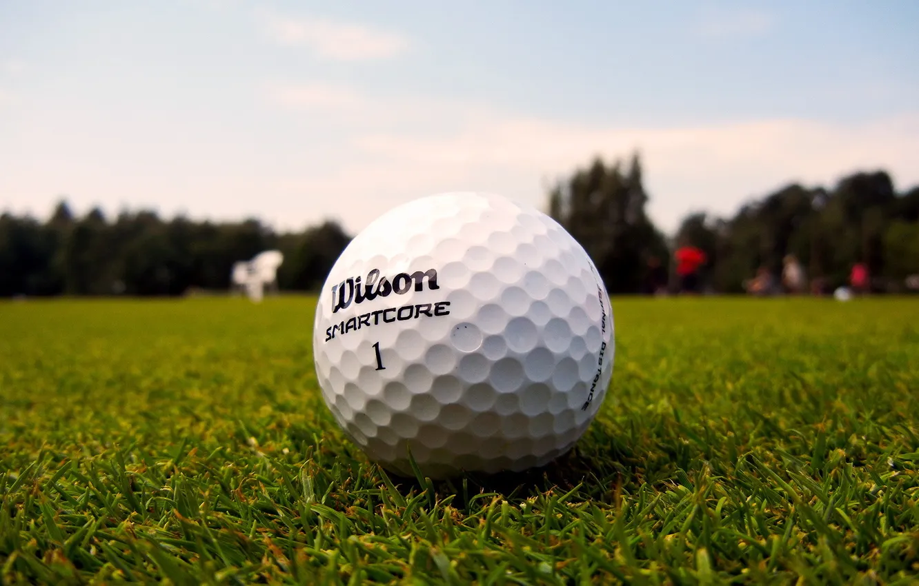 Фото обои трава, газон, мячик, гольф, golf, ball