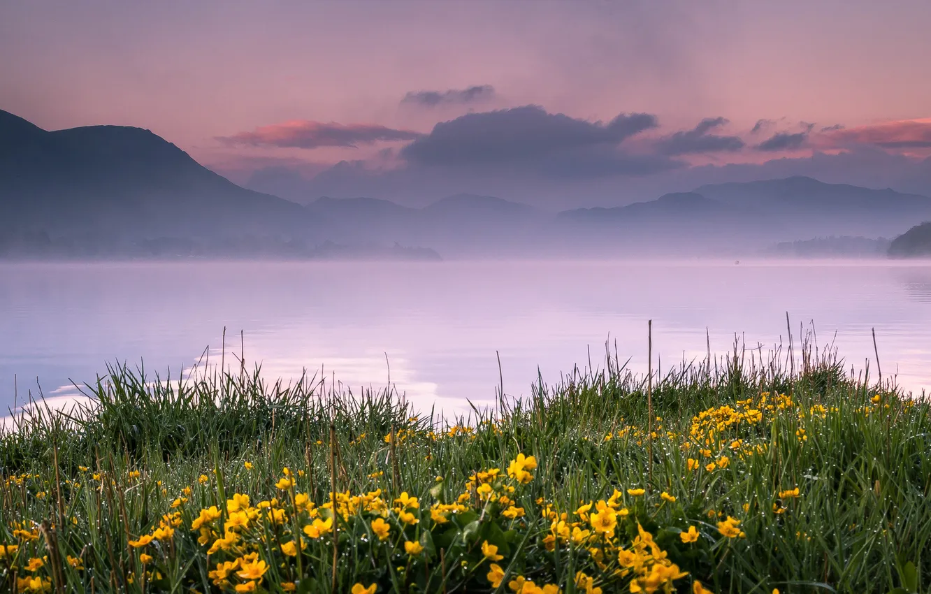 Фото обои трава, цветы, горы, озеро, дымка, England, Pooley Bridge