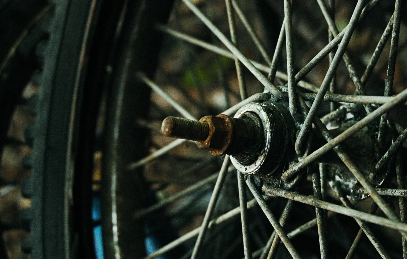 Фото обои велосипед, камера, колесо, спицы, покрышка, втулка