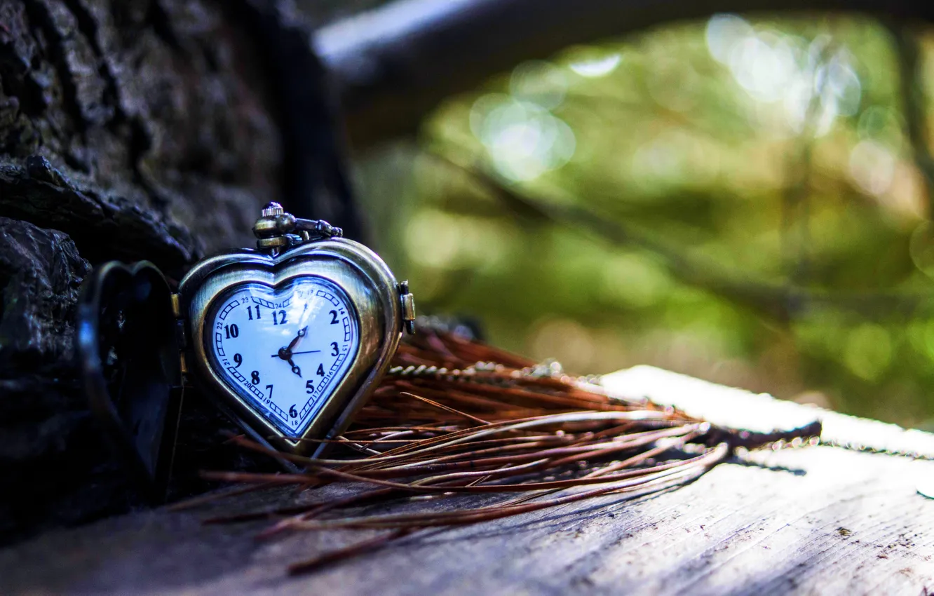 Фото обои стрелки, сердце, часы, love, циферблат, heart, autumn, clock
