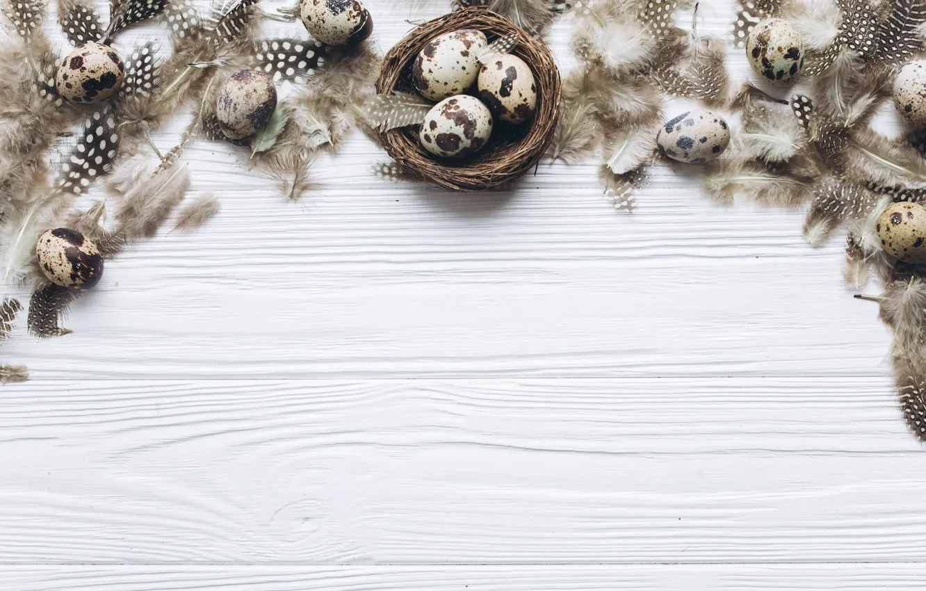 Фото обои яйца, перья, Пасха, wood, spring, Easter, eggs, decoration