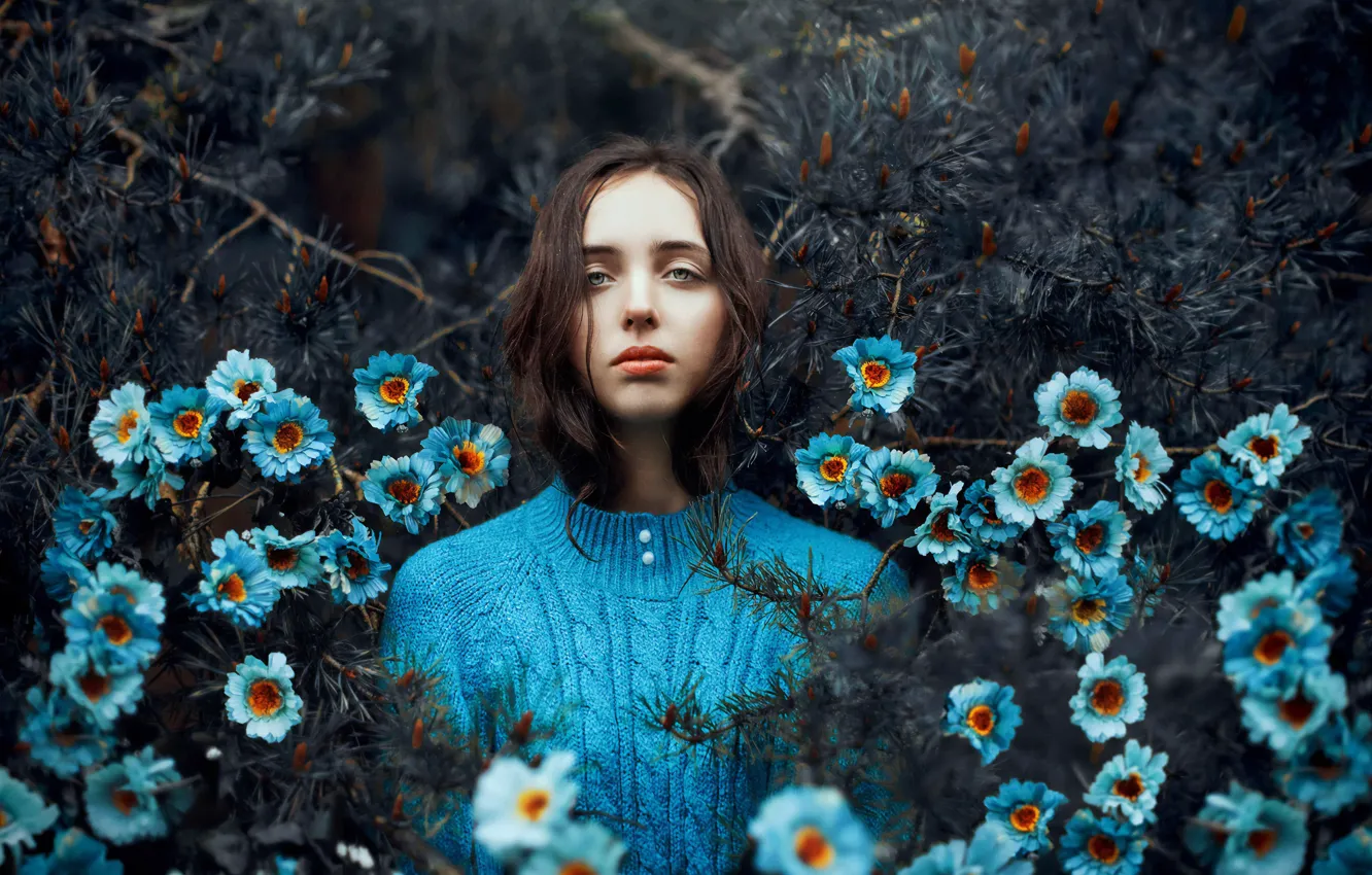 Фото обои girl, forest, blue, flowers, needles, Ronny Garcia