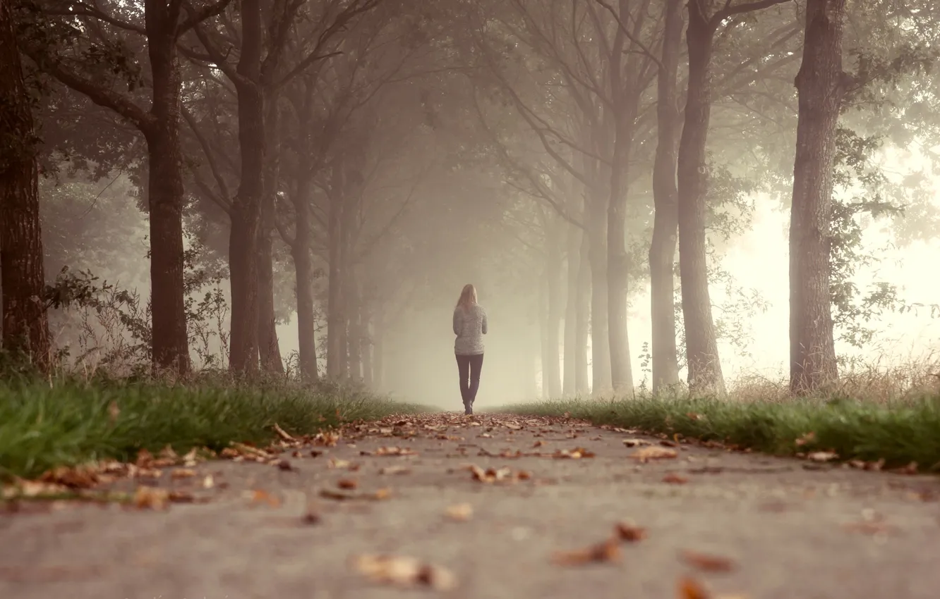 Фото обои трава, листья, девушка, деревья, туман, парк, путь, ходьба