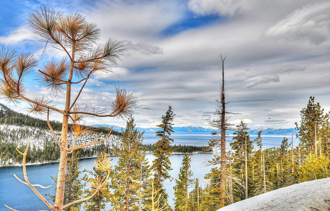 Фото обои лес, снег, деревья, горы, озеро, Калифорния, США, Тахо
