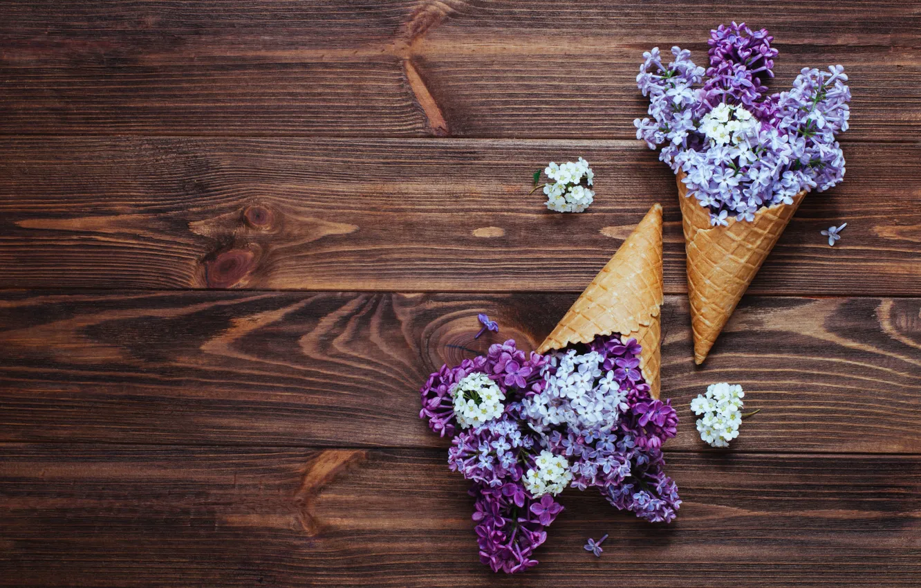 Фото обои цветы, рожок, wood, flowers, сирень, spring, lilac, cone