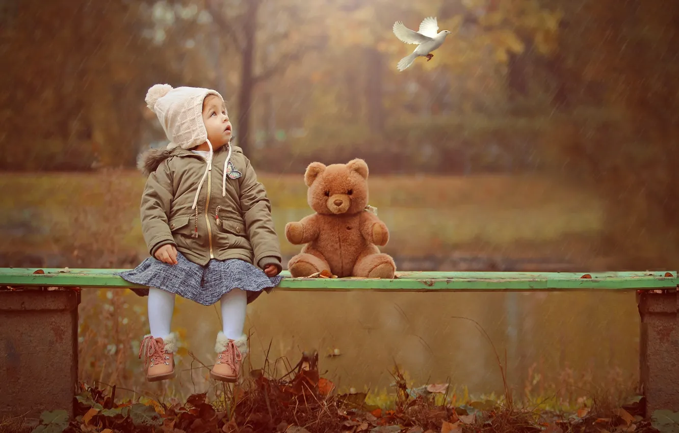 Фото обои осень, природа, дождь, птица, игрушка, голубь, мишка, девочка