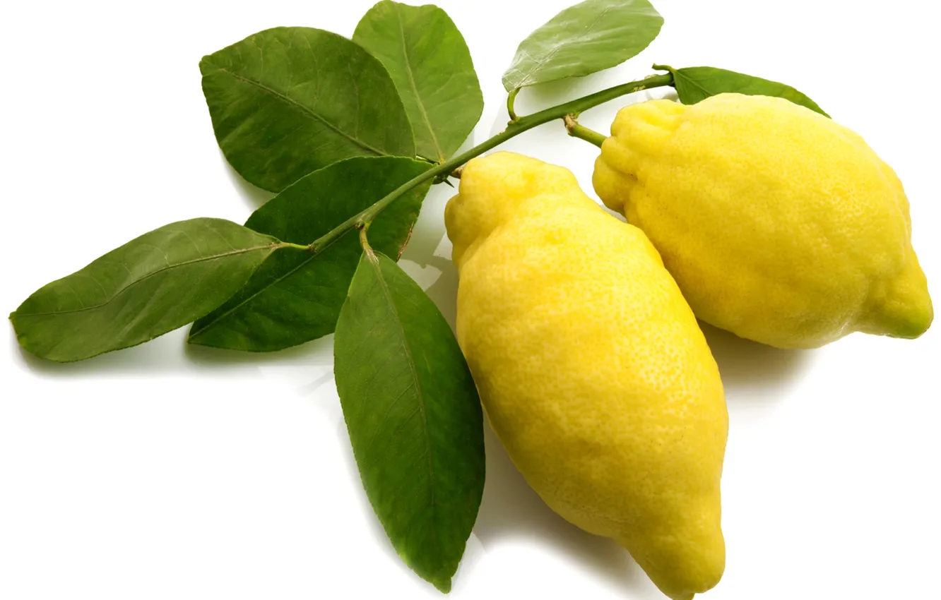 Фото обои желтый, фрукт, цитрус, лимоны