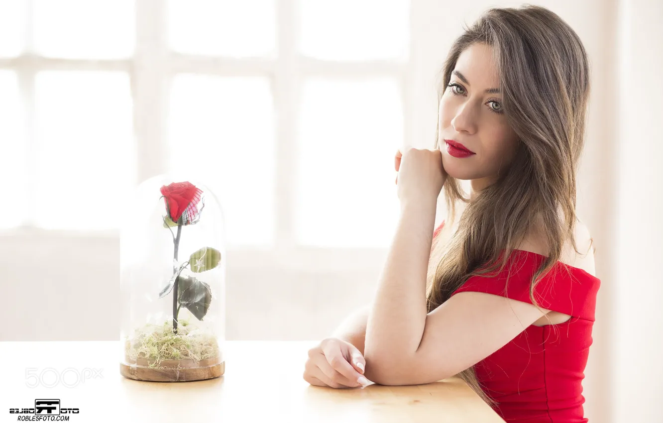 Фото обои girl, rose, flower, photo, photographer, blue eyes, model, brunette