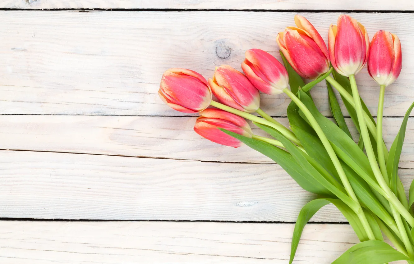 Фото обои цветы, букет, тюльпаны, red, wood, flowers, tulips, spring