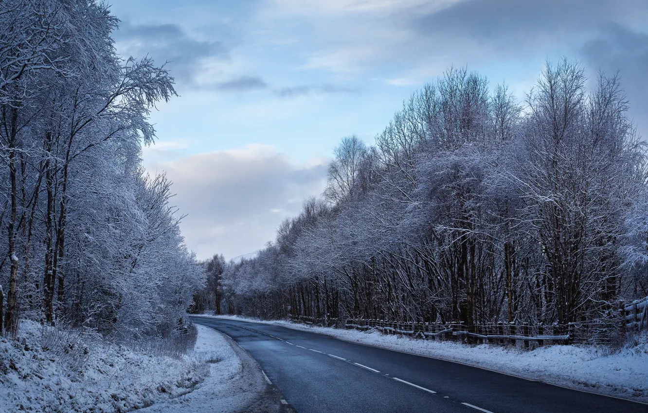 Фото обои зима, иней, дорога, лес, небо, облака, деревья, ветки