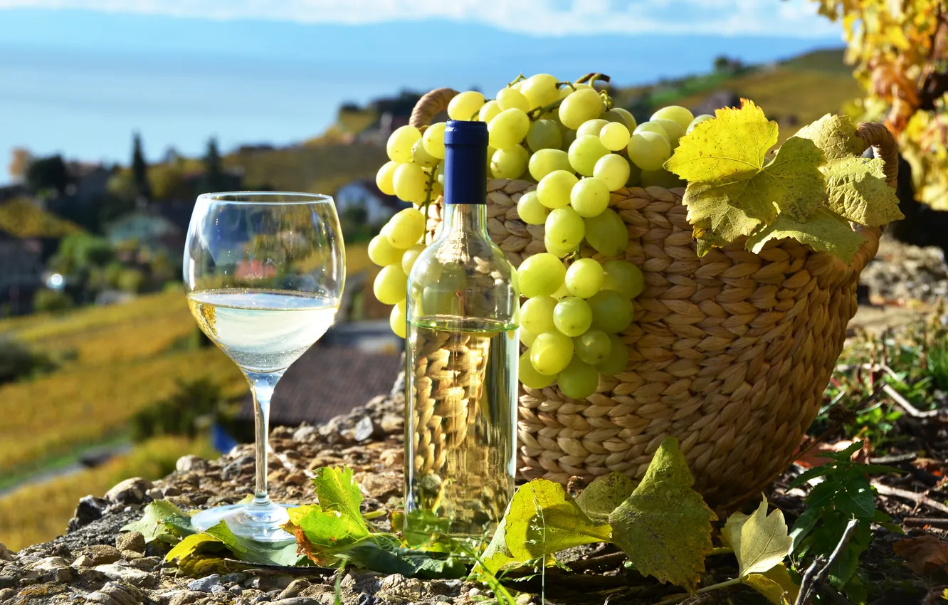 Фото обои вино, белое, корзина, бокал, бутылка, виноград
