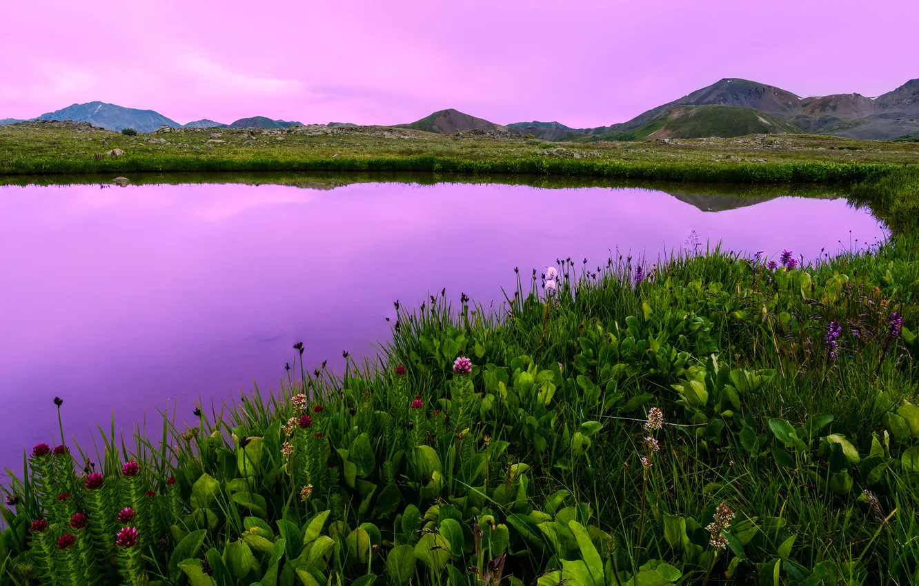 Фото обои закат, цветы, горы, озеро, сша, полевые, колорадо