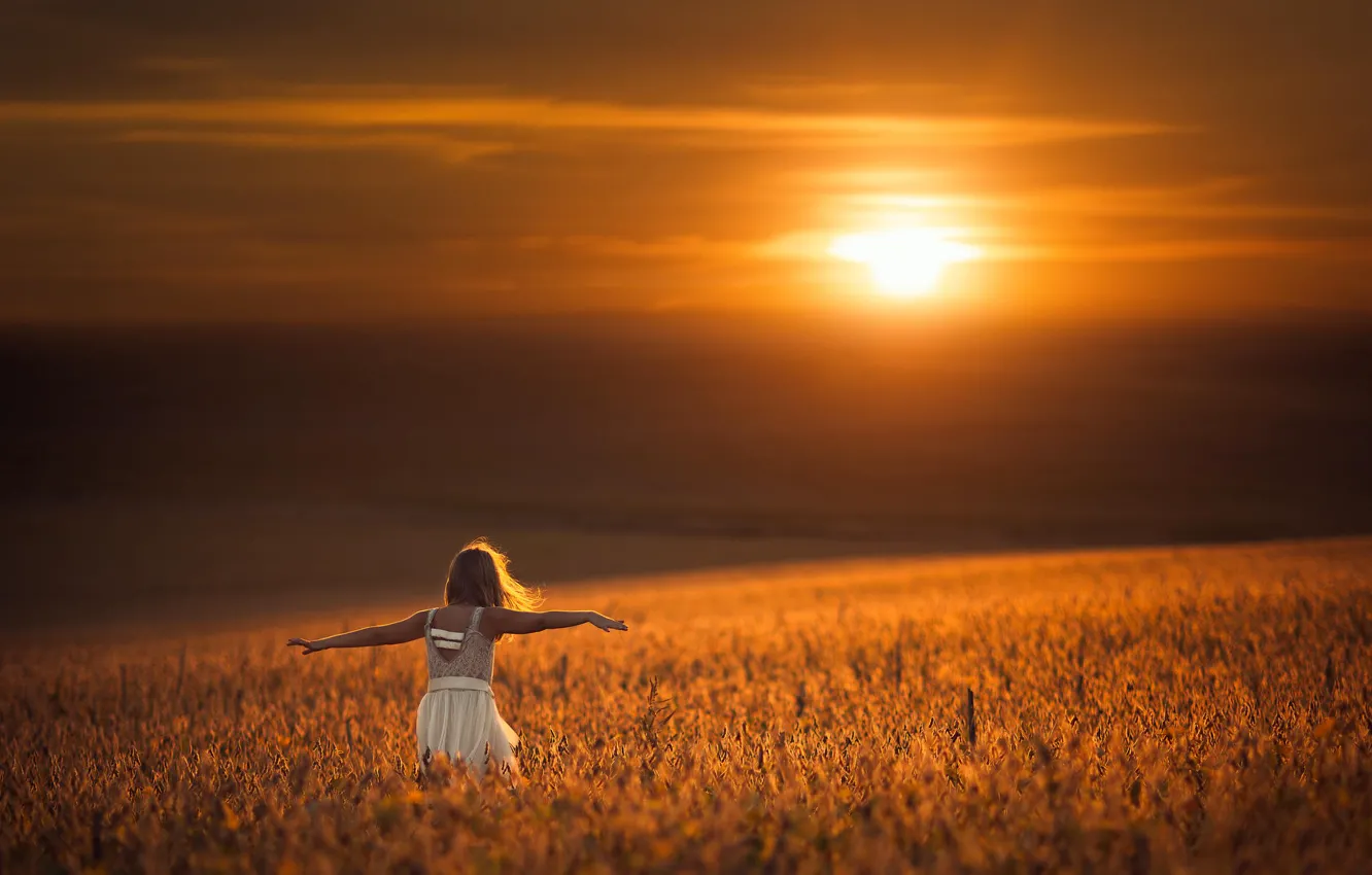 Фото обои поле, солнце, платье, девочка, боке, равновесие