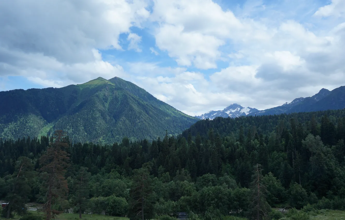 Фото обои лес, небо, облака, пейзаж, горы, forest, sky, landscape