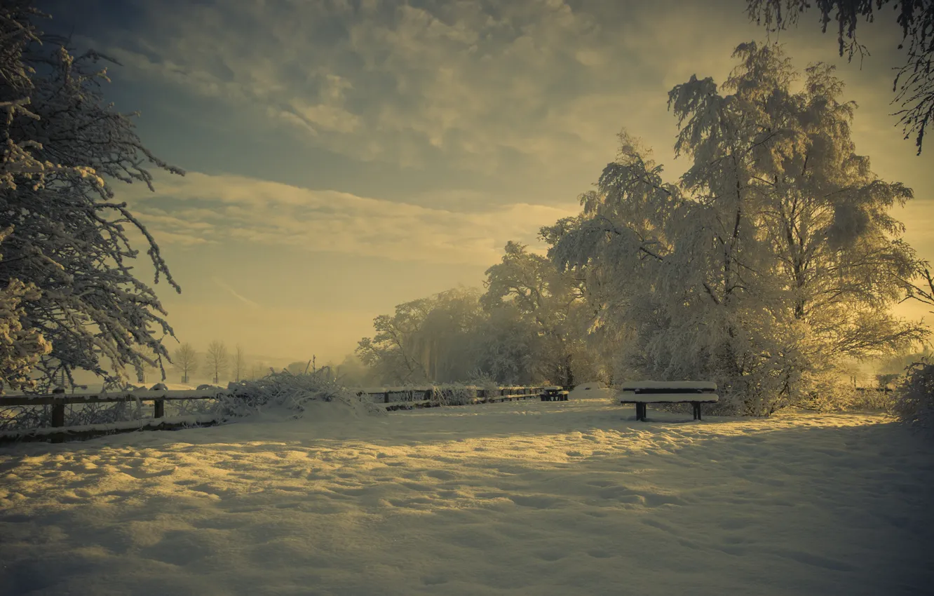 Фото обои зима, снег, природа, парк, лавка